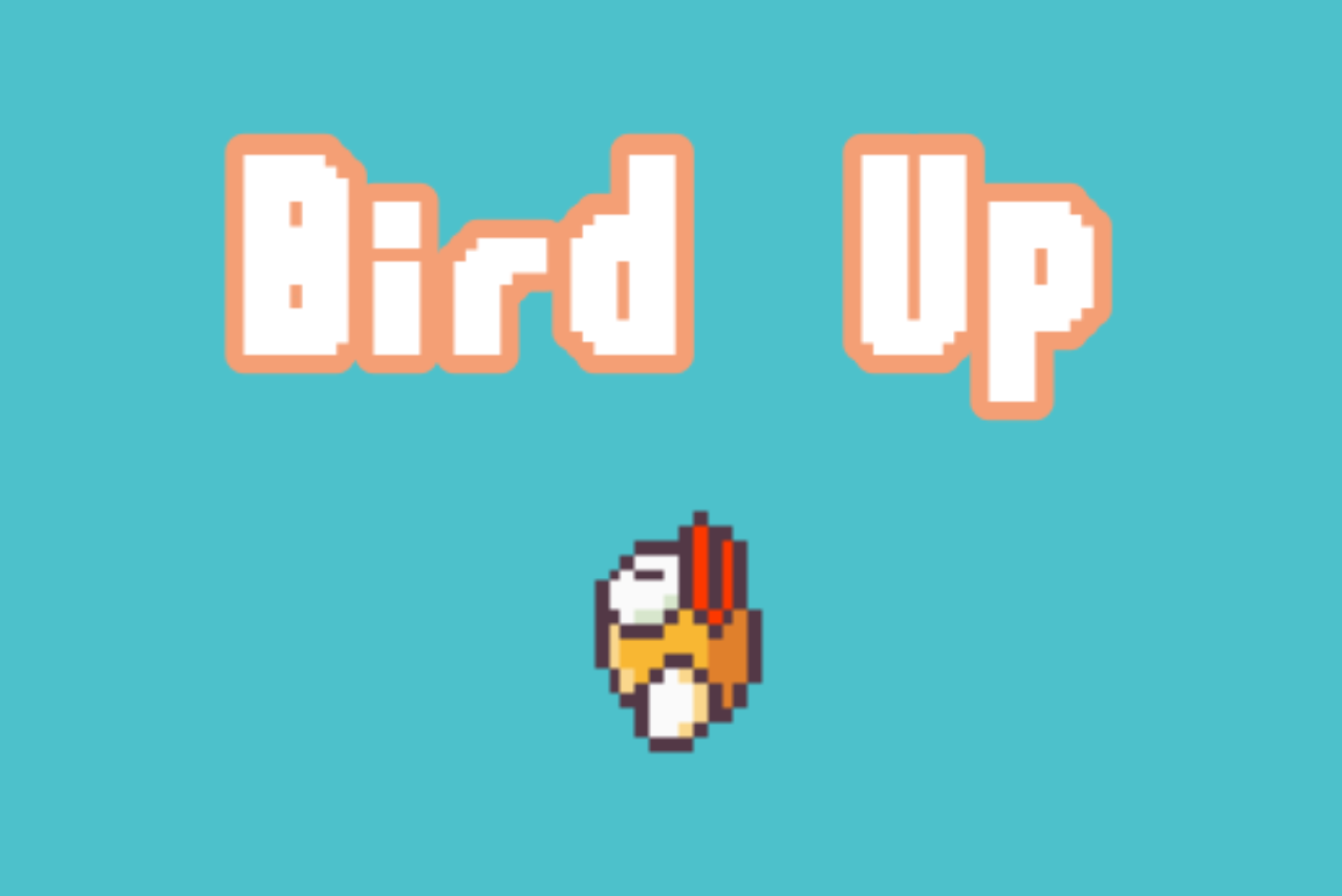 Bird Up game preview